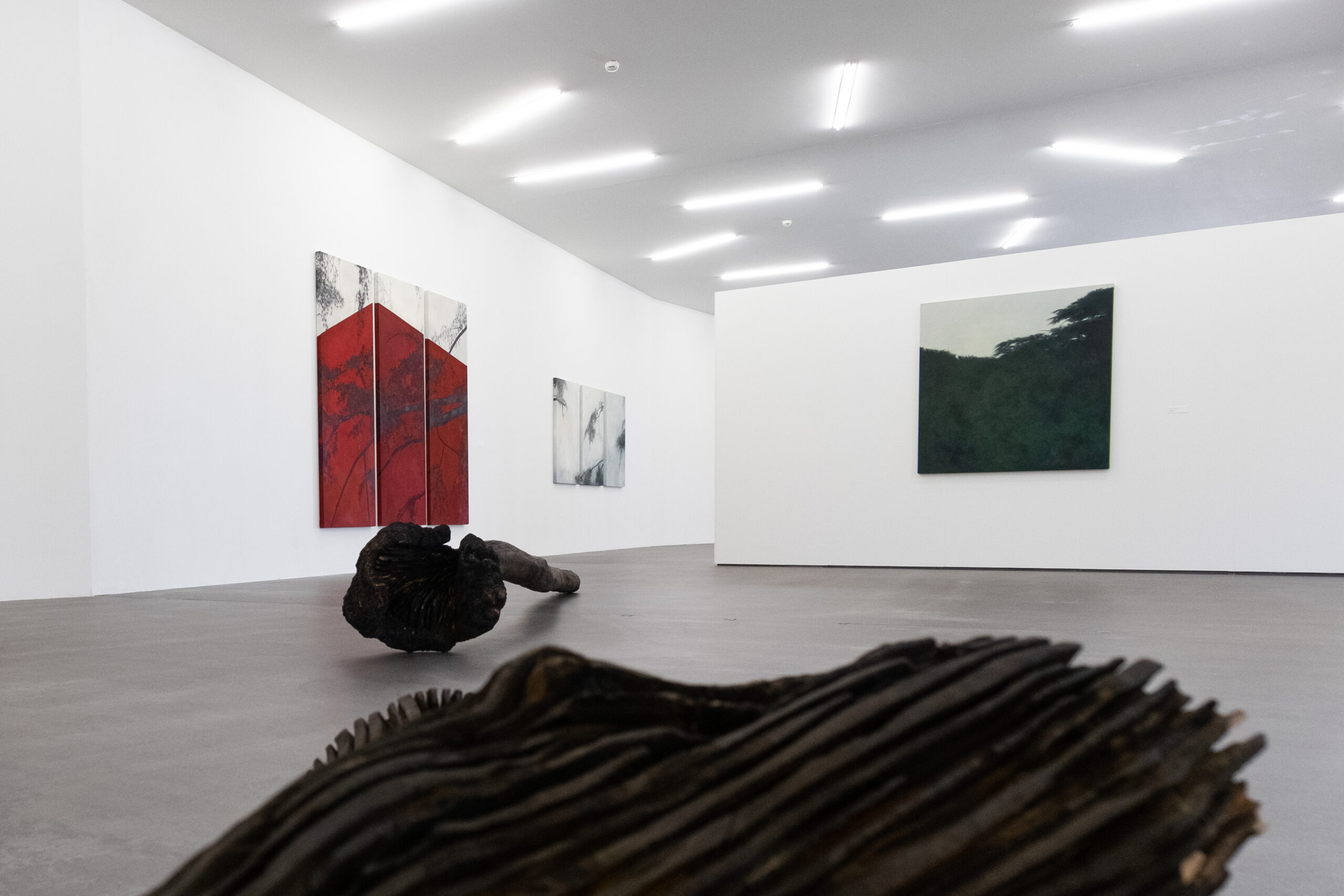 Blick in die Ausstellung «Im Wald», Kunsthaus Grenchen, Neubau